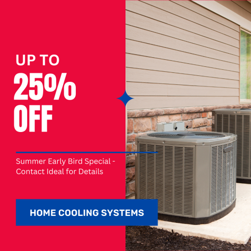 summer early bird special